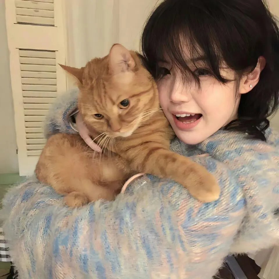 猫之茗
