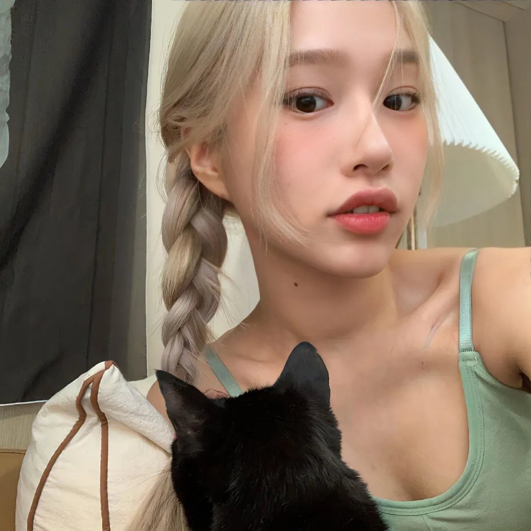 狐狸的故事